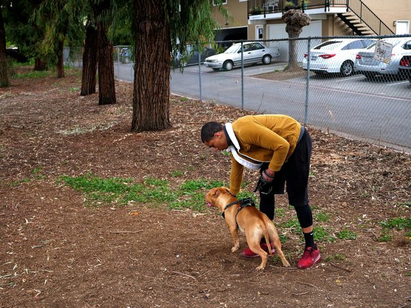 Charbon actif : 5 bienfaits surprenants et utilisations pratiques